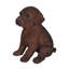 Statue de labrador chiot brun chocolat
