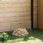 50 cm W Border Fencing