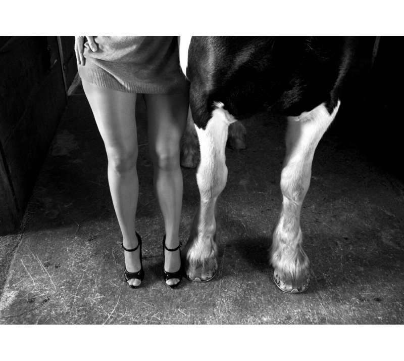 Wrapped Canvas Print, 60.96 cm H x 91.44 cm W