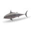 Animals Mackerel Fish Wall Décor