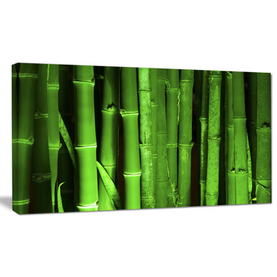 " Green Bamboo Forest "