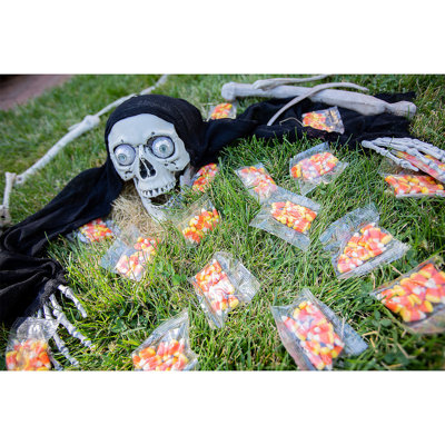 Halloween Decoration