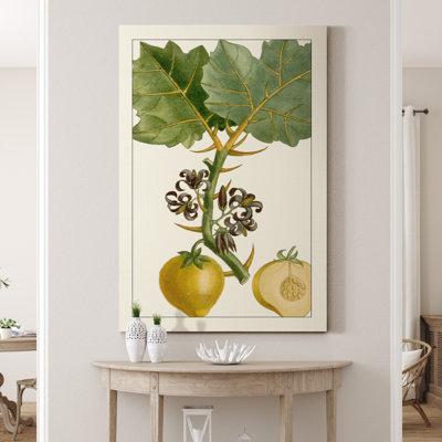 " Turpin Exotic Botanical IV "