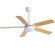 Derick 42'' Ceiling Fan with LED Lights