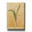 «Ferns In Glass Vase 2» par Danhui Nai, art mural sur toile-1110498331