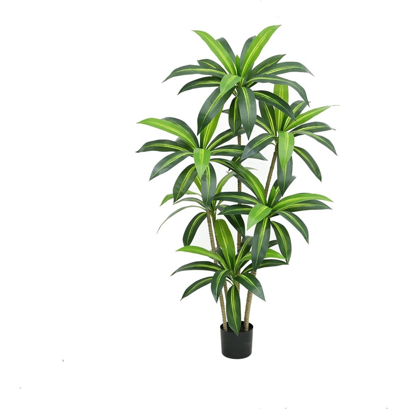 59.06cm Plant