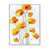 Cadre flottant blanc
