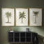 3 pièces de l'UA CH - British Palms I-1939223522-1939223523