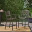 Set Of 2 Elegant Outdoor Barstool With Traditional Scroll Design