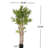 70" Artificial Bamboo with Black Plastic Pot