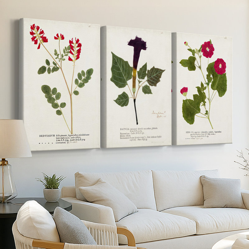 Nature imprimé Botanicals III - toile tendue sur mesure - 3 pièces, H 18 po x l 36 po