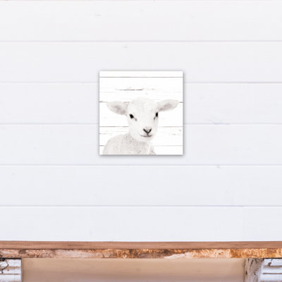« baby agneau », art sur toile