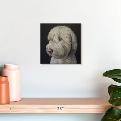 Crowle Labradoodle Goldendoodle White