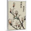 Mandarin Magnolia I, art mural sur toile-392272819-392272781