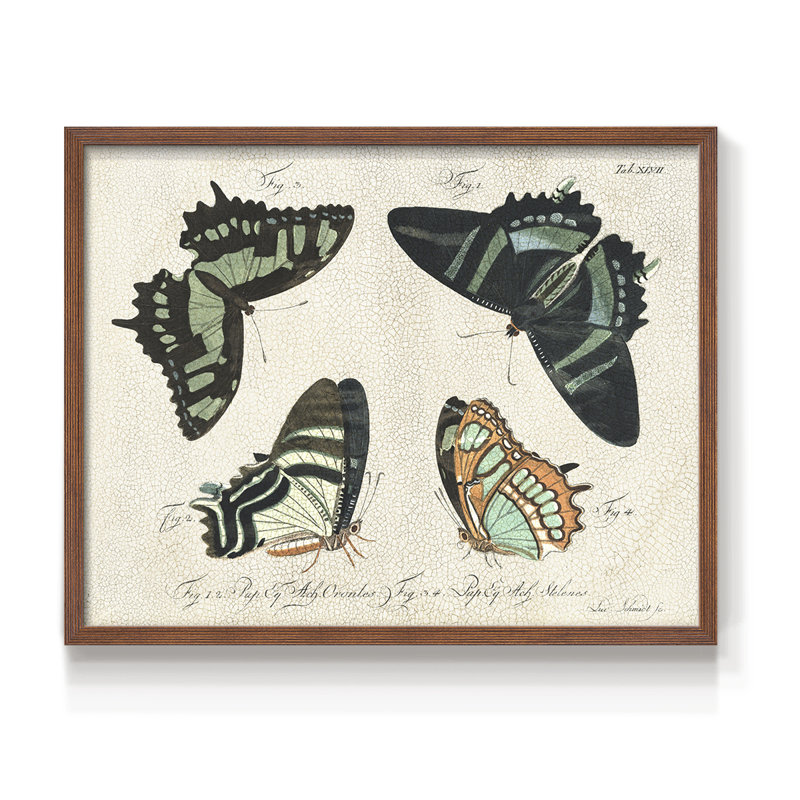 Crackled Butterflies III -Framed Print - Restickable, Noyer, H 11 po x l 14 po