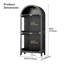 175cm H x 75cm W Modern Arched Glass Bookcase with RGB LED Lighting & Removable Shelves-242799217