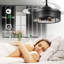 42'' Ceiling Fan with Light Kit