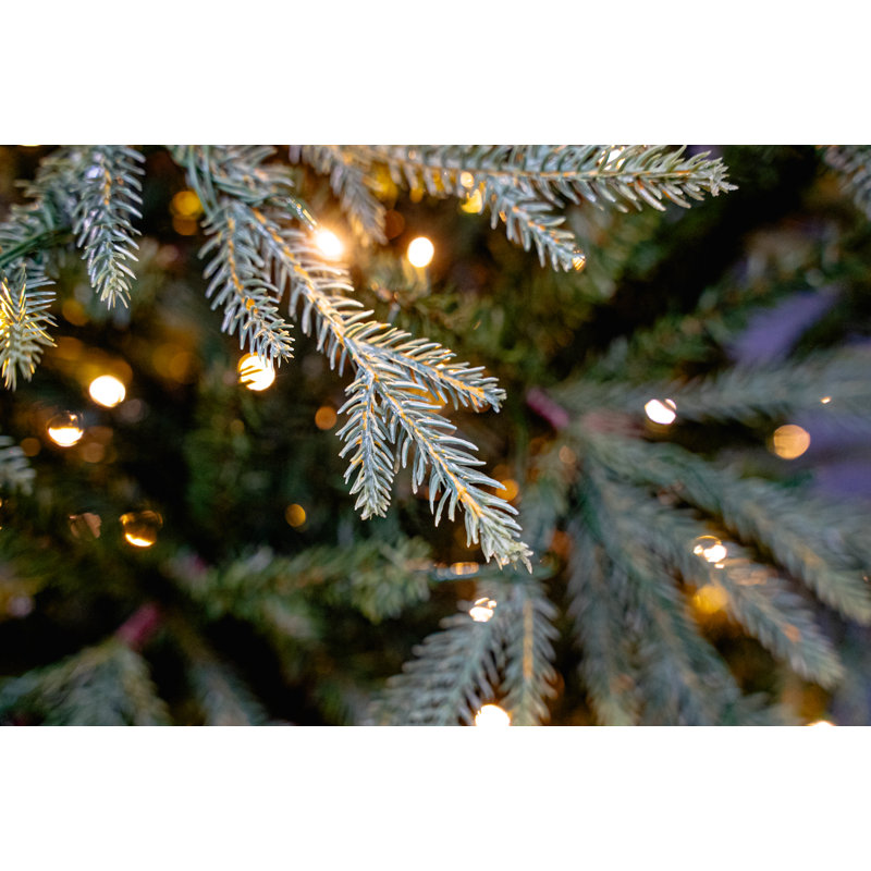 ELVEDEN FIR - Artificial Christmas Tree, 7.5 ft
