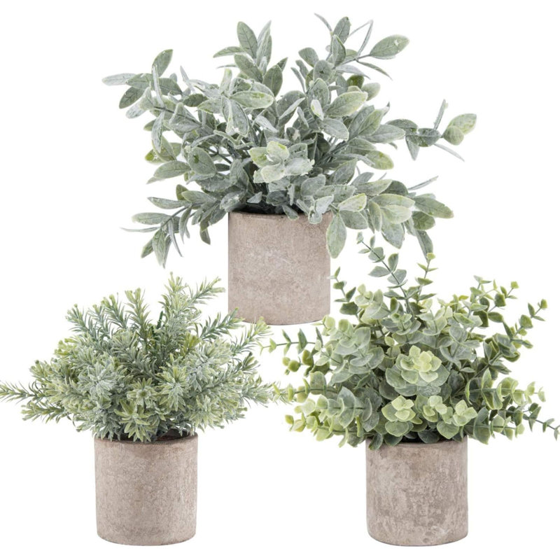 Tabletop Tree