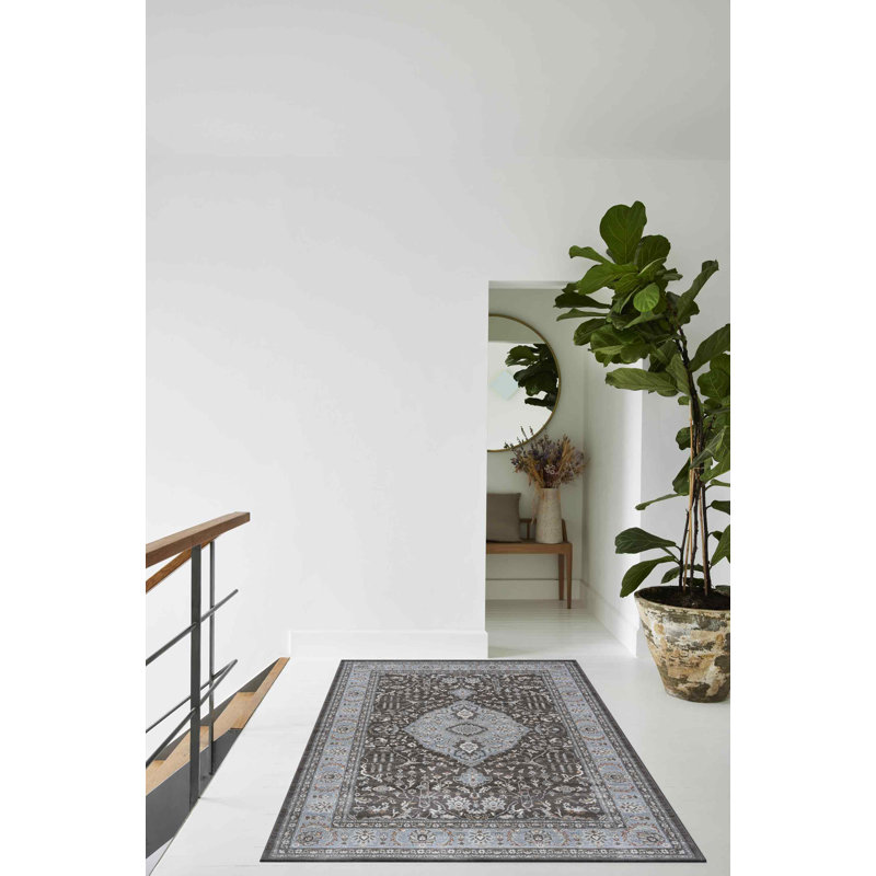 Meeks Oriental Area Rug, Rectangle 200 x 290 cm