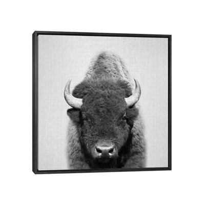 " Buffalo " by Gal Design