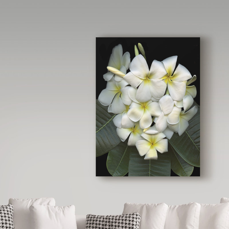 «Plumeria» par Dosta, impression sur toile tendue, H 19 po x l 14 po x P 2 po