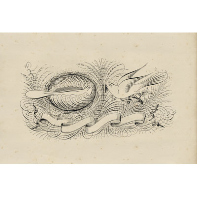 Victorian Quill II by Vision Studio - Wrapped Canvas Print