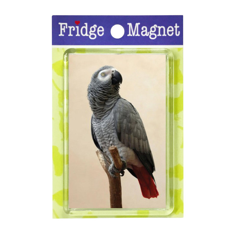 Fridge Magnet