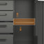 Armoire de rangement robuste pour outils en métal avec roulettes - Armoire de rangement pour outils pour le garage, le bureau et la maison / gris