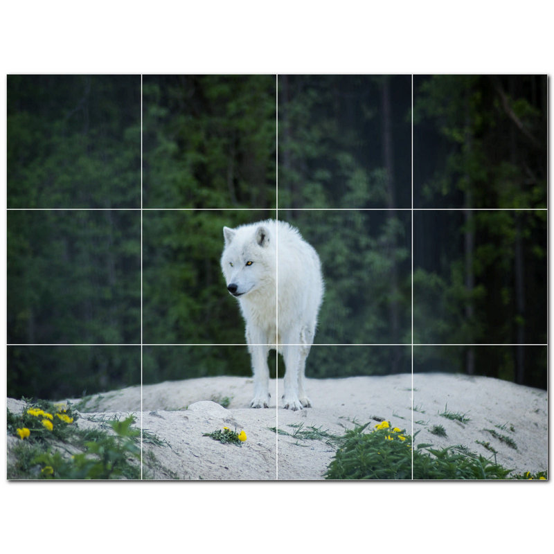 Murale en céramique satinée loup 12 po x 12 po Wolf Photo