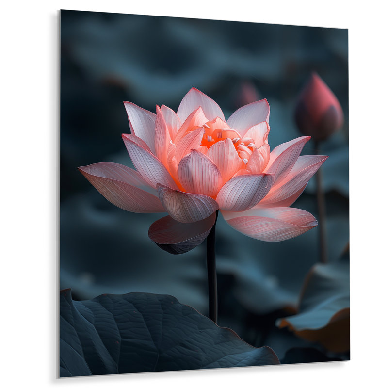 Verre Serenity Lotus I - art mural Lotus, Sans cadre, métal, H 16 po x l 32 po
