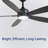 Bluejay 56-Inch Indoor Ceiling Fan with LED Light Kit, Matte Black with Blackened Oak/White Wood Reversible Blades, 6CCT Color Select, Integrated LED, Remote Control (5-Blade)