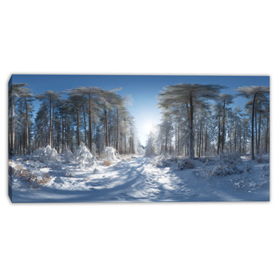 Art mural sur toile Sunlit Winter Path