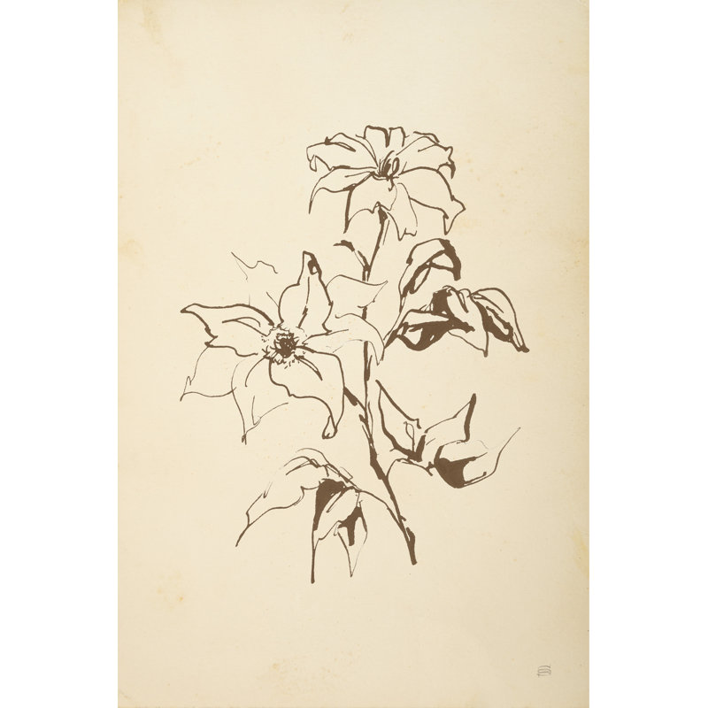 Vintage Line Clematis by Chris Paschke - Wrapped Canvas Print, 46cm H x 30cm W x 3.8cm D