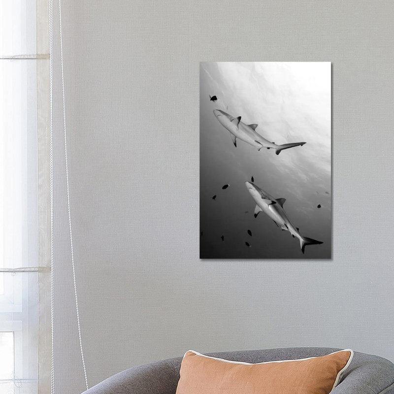 Gray Reef Sharks Papua New Guinea by Steve Jones - Wrapped Canvas Gallery-Wrapped Canvas Giclée