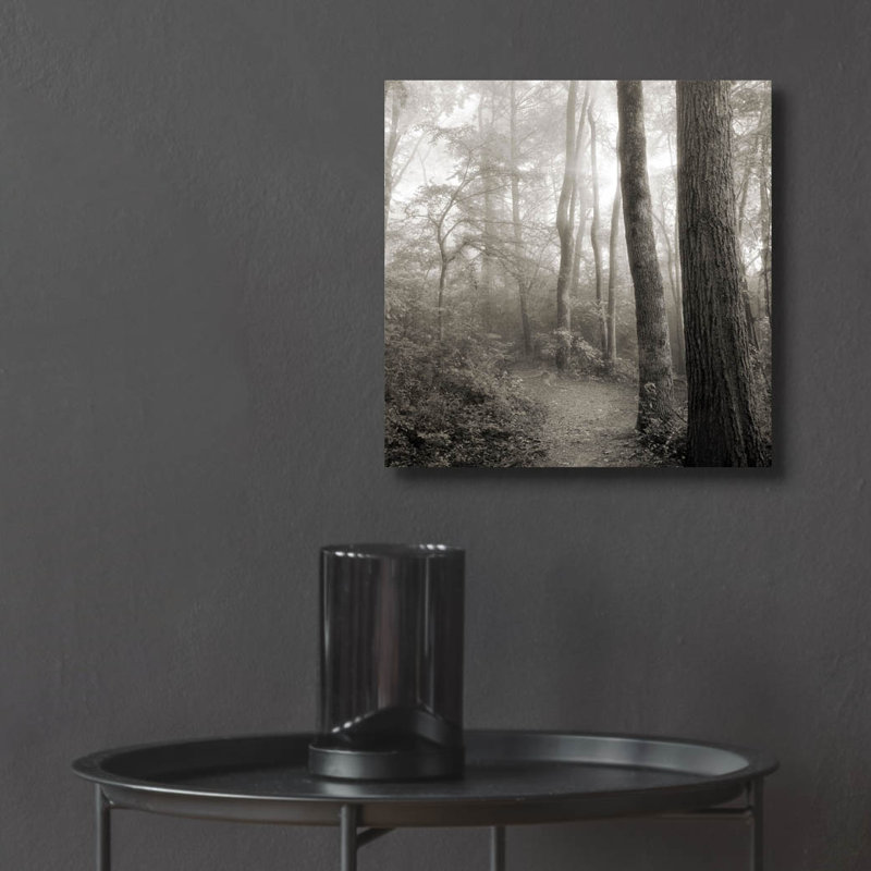 «Woodland Path» par Nicholas Bell, photographie, H 12 po x l 12 po x P 0,13 po