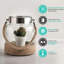 Tabletop Lantern-134154761