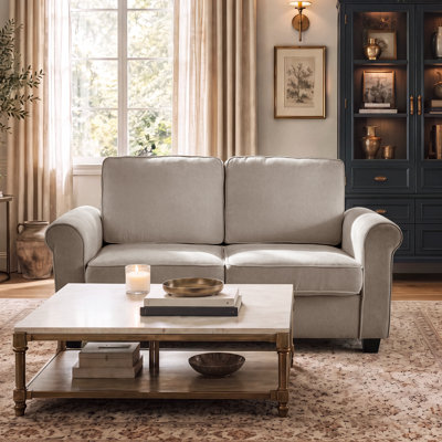 
Carter Upholstered 60.2 " Chenille Loveseat