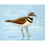 Killdeer Wall Hanging - Rod Included