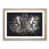 Oak Framed selected