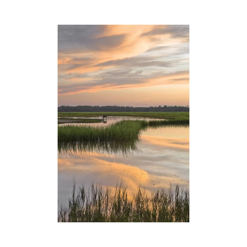 Marsh Beauty by Glenn Taylor - Wrapped Canvas Print, 20.32 cm H x 30.48 cm W