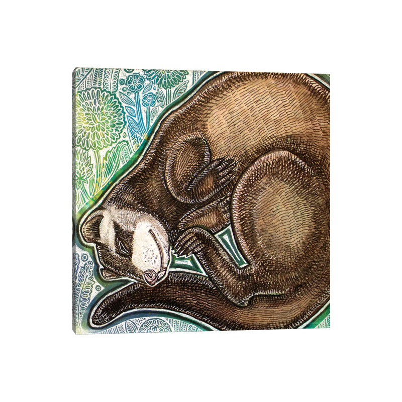 Dreaming Ferret by Lynnette Shelley - Wrapped Canvas Print, 30.48 cm H x 30.48 cm W