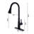 MODLAND Pull Out Kitchen Faucet