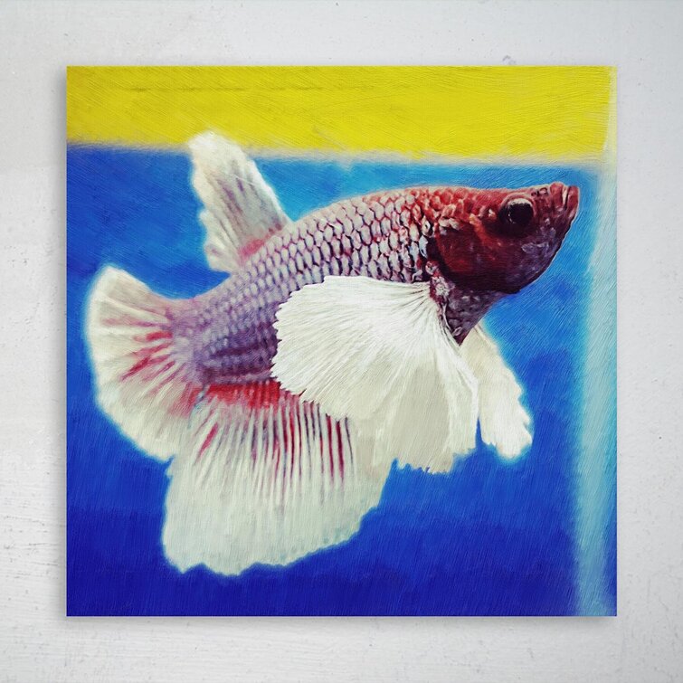 Red and Blue Betta Fish - Wrapped Canvas Painting Rosecliff Heights Size: 12 H x 12 W