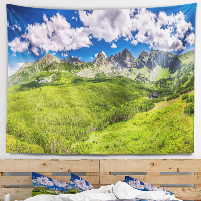 Paysage tapisserie verte des montagnes des tatras, H 50 po x l 60 po
