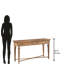 Veronica 56'' Console Table