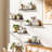 Riek 5 Piece Floating Shelf-826149875-826149872