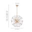 Dandelion 8-Light Sphere Globe Sputnik Pendant with Glass Sheet