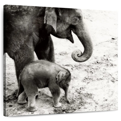 Crowle, mère et fille, éléphant