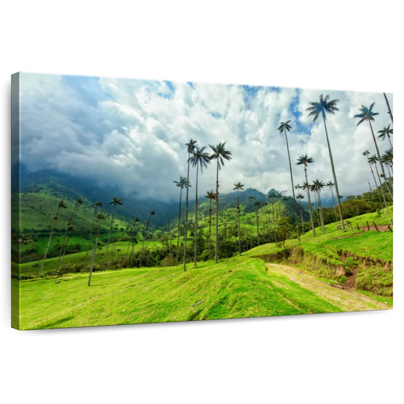 Alvord Cocora Valley, H 30 po x l 45 po